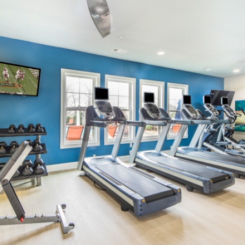 Cardio Cardio